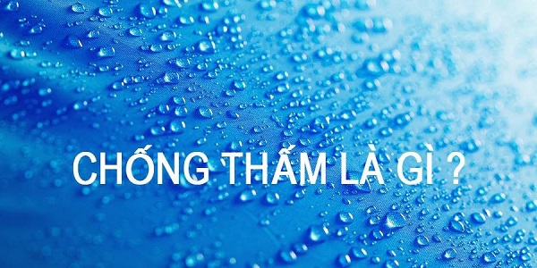 Chong Tham La Gi Vi Sao Phai Tien Hanh Chong Tham 1 1